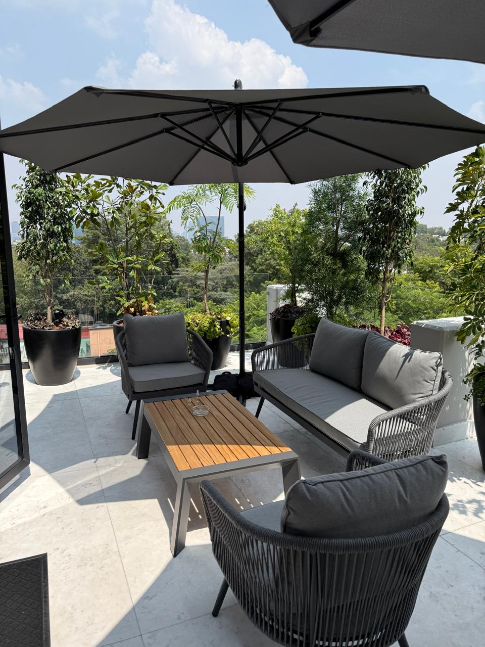 Terraza - New Concept